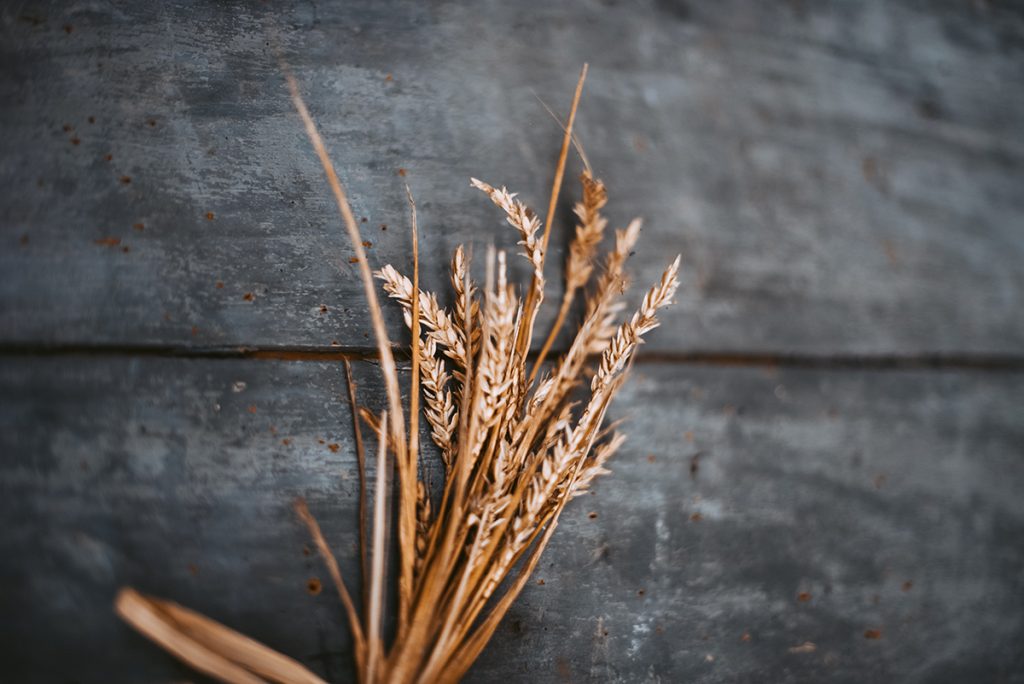 barley